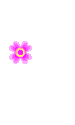 graphics-floaties-flowers-588177.gif