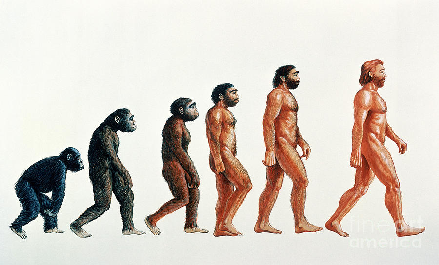 human-evolution-david-gifford.jpg