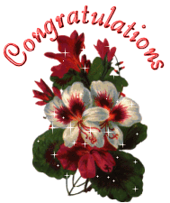 congratulations-flowers-animated-6.gif