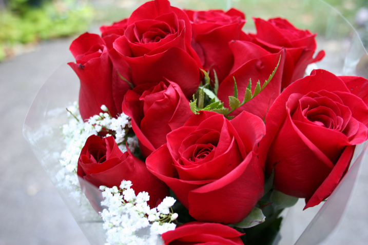 red-roses-from-randy.jpg
