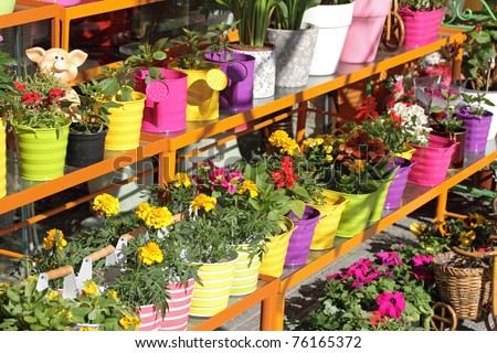 stock-photo-flower-shop-outdoor-stand-with-colorful-flower-pots-76165372.jpg