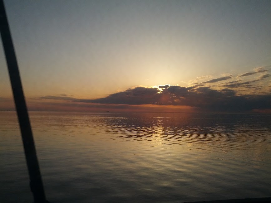 IMG_20130330_072116.jpg