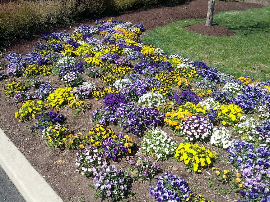 IMG_20130330_142143.jpg