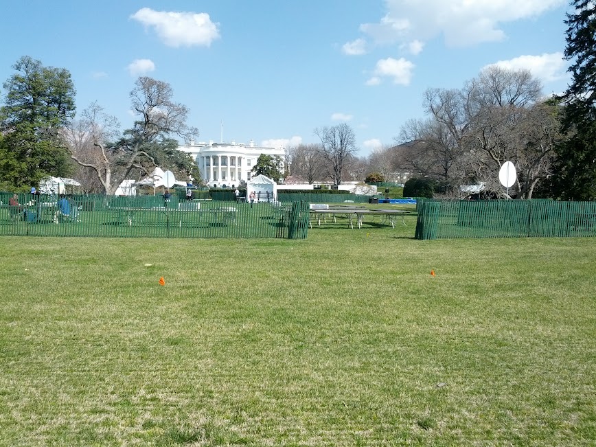 IMG_20130330_111259.jpg