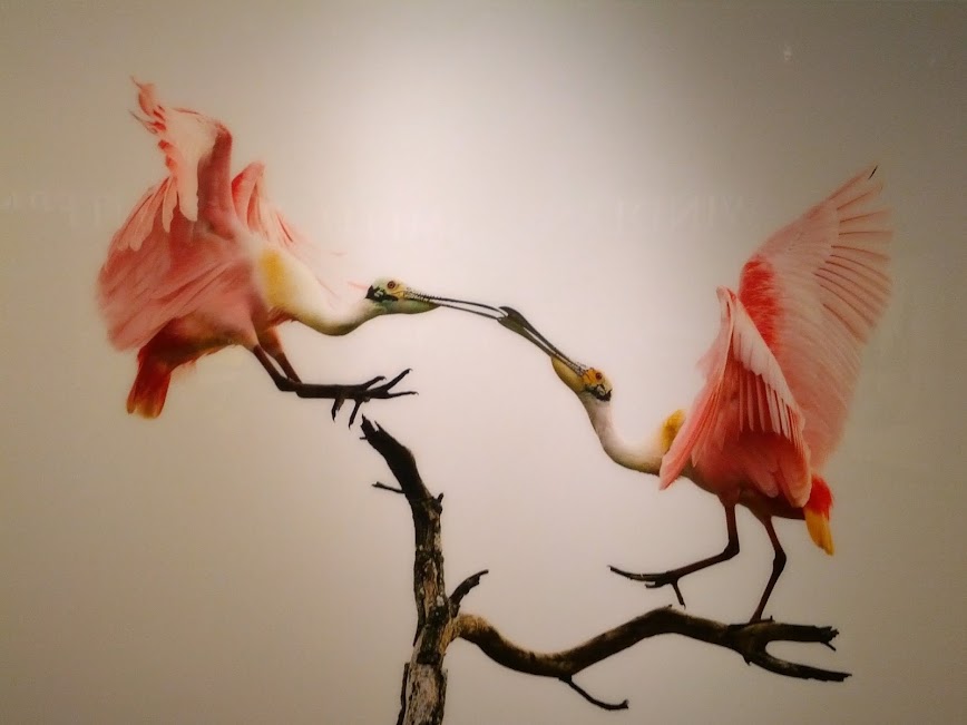IMG_20130330_125354.jpg