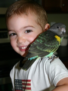 child-and-bird1.jpg