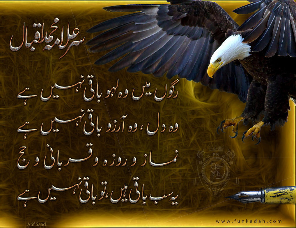 urdu_poetry_allama_iqbal_by_atif80saad-dbc699f.jpg