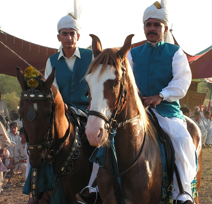horse-riding-festival-14.jpg