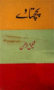 small_pachhtawe-shafiqur-rahman-ebooks-1.jpg