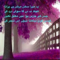 نادیہ عنبر