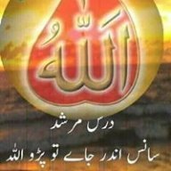 تاثیر سروری قادری سلطانی
