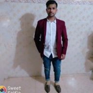 شیر آشفتہ سر