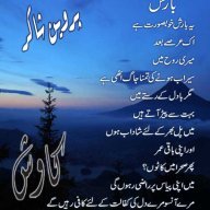 رفعت رضا_
