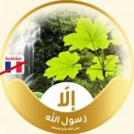 محمد حبیب الرحمٰن