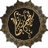 ناظم رضا مصباحی