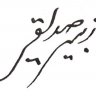 زبیر صدیقی