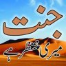 جنت میری منتظر ہے