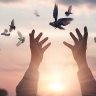 ابنِ الاسلام