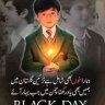 Junaid Iqbal