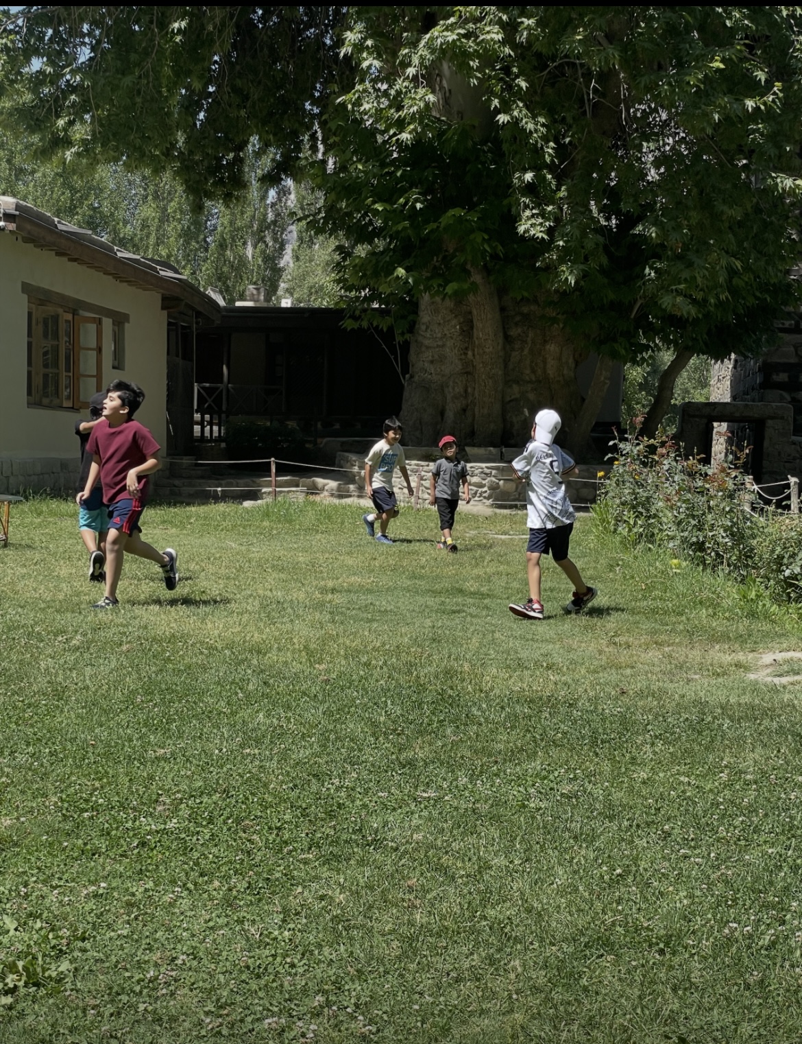IMG-0911.jpg