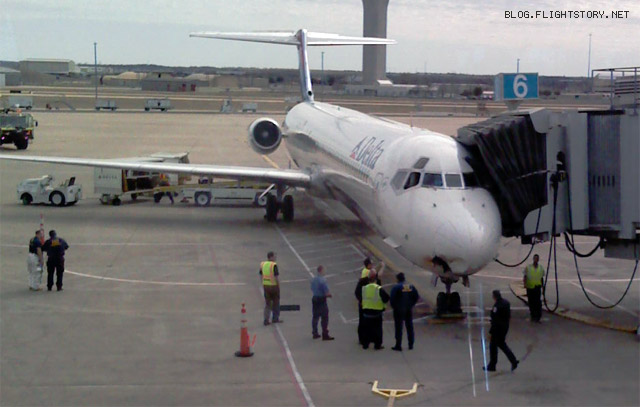 delta-birdstrike-2.jpg