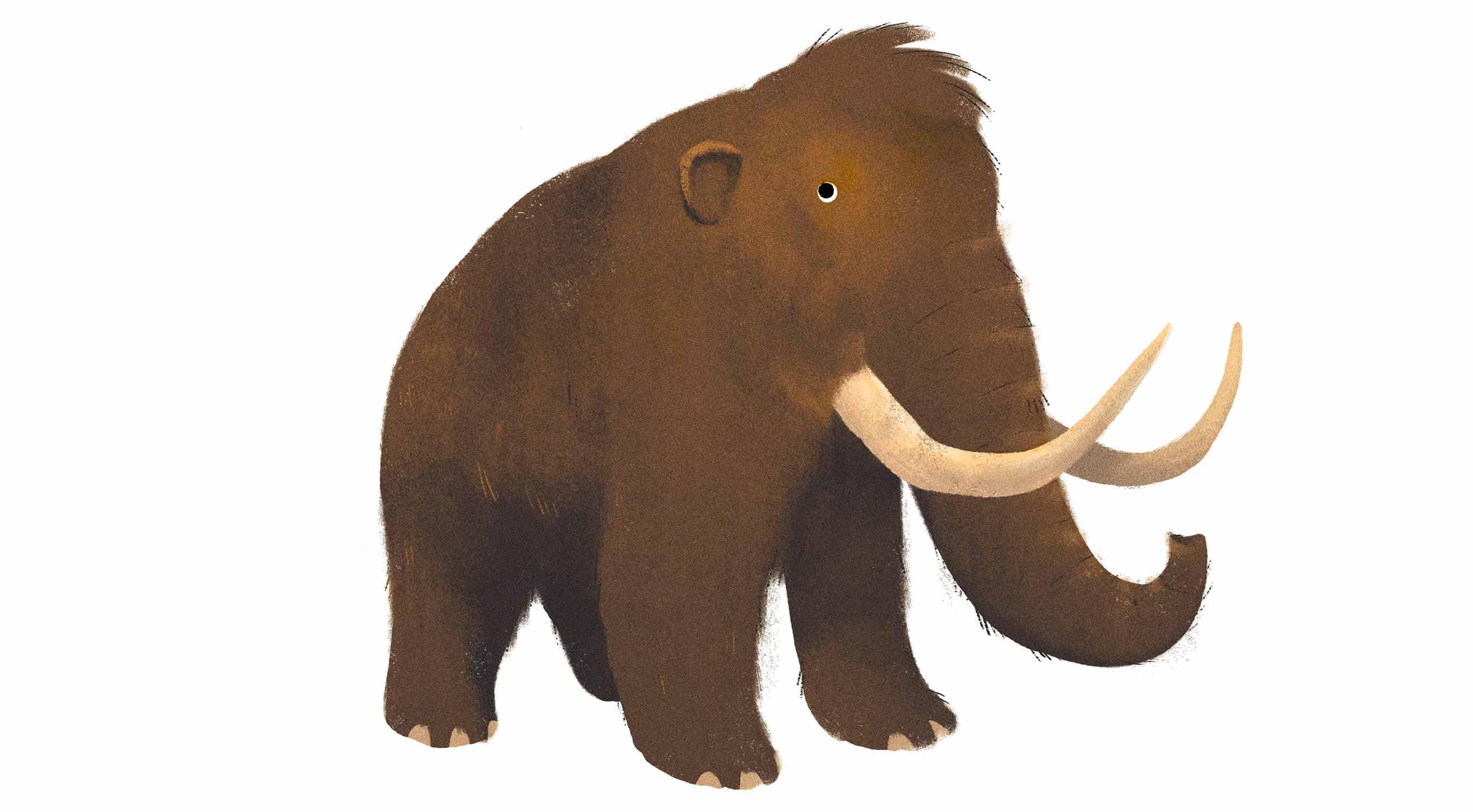 woolly-mammoth.jpg