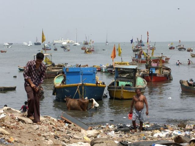 india_06.jpg