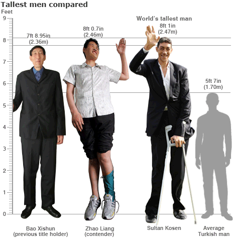 _46393888_worlds_tallest_man_466in.gif
