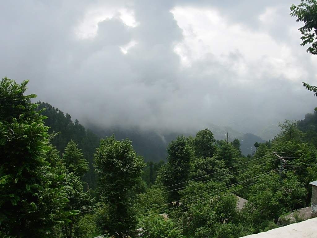 dscn5611_125.jpg