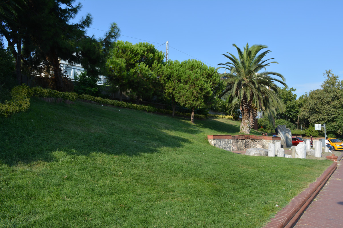DSC-5770.jpg
