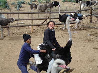 2007-09_RobboAmy-AmyOstrichRiding.jpg