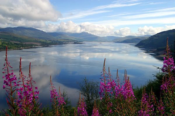ireland_15326850.jpg
