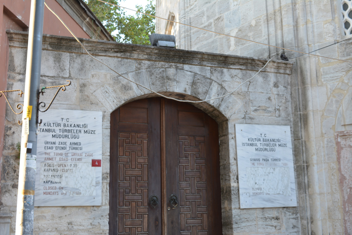 DSC-4534.jpg