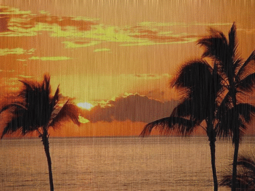 1634094r9qwwx2nca.gif