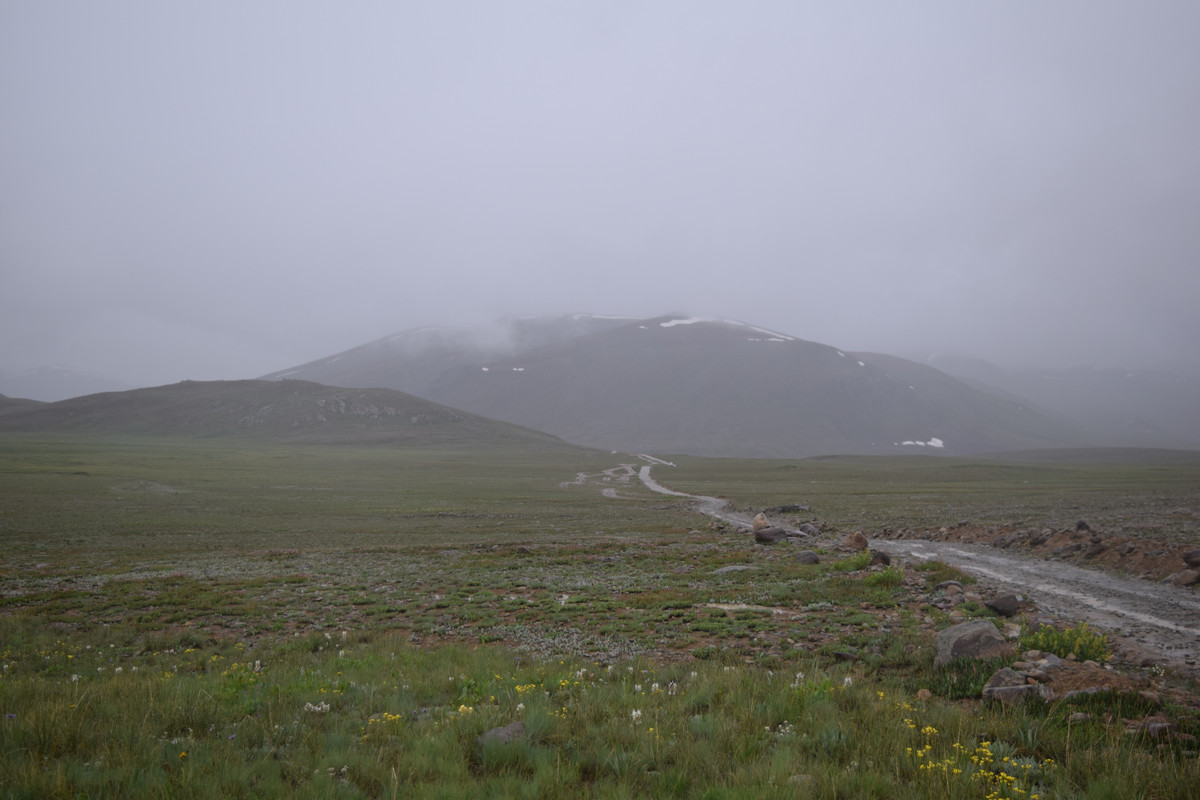 DSC-0701.jpg