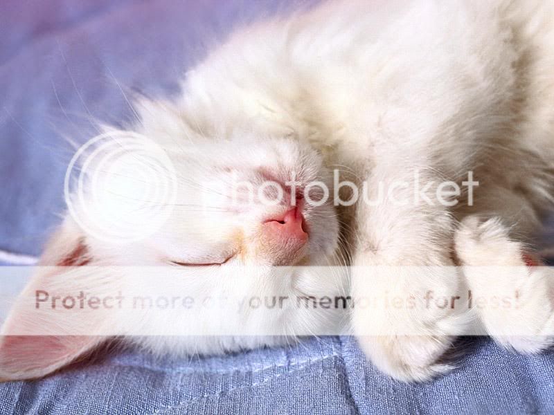 fa729664-df93-4784-be78-07db3f07a5f.jpg