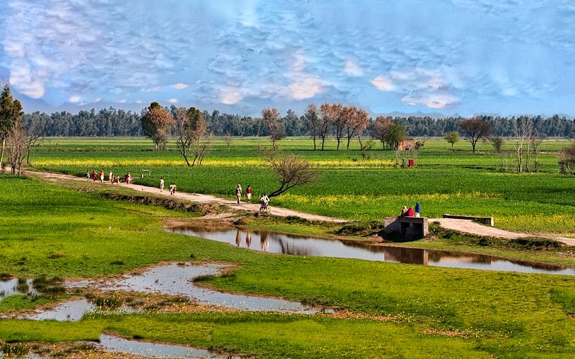 A-beautiful-scene-of-a-village-in-Punjab-Photos-of-Pakistani-villages.jpg