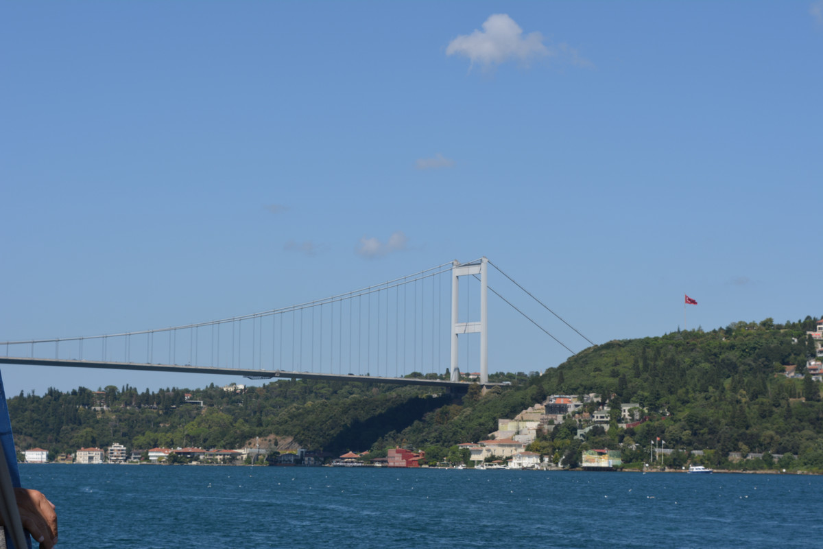 DSC-4770.jpg