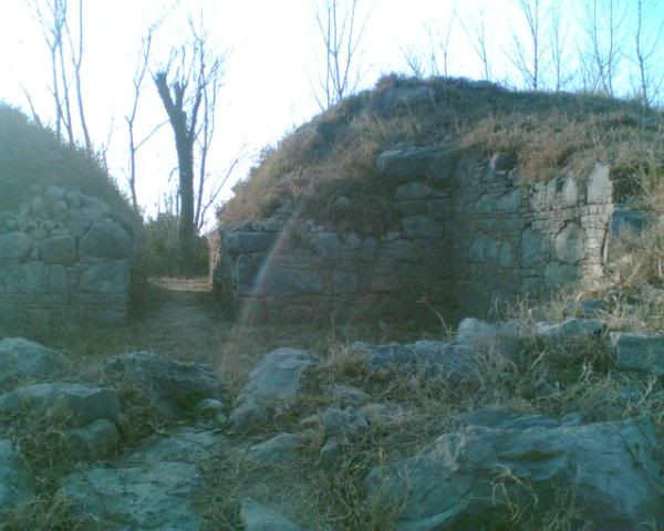 taxila2.jpg