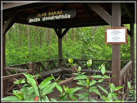 CRW_7221.jpg
