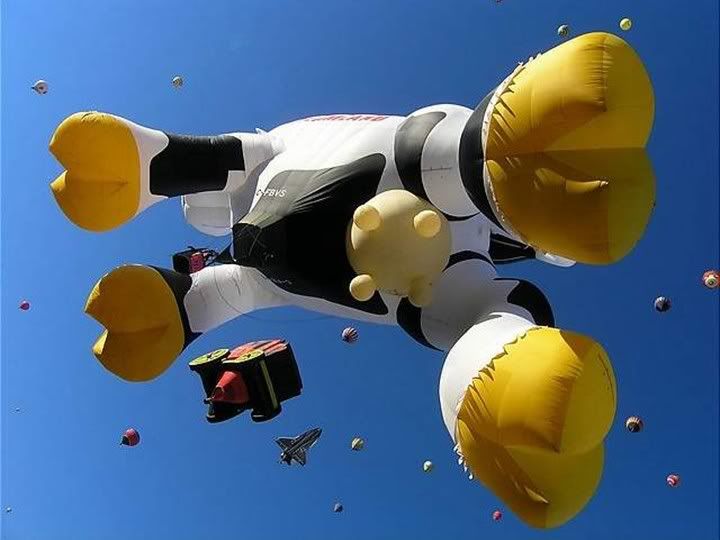 bb21.jpg