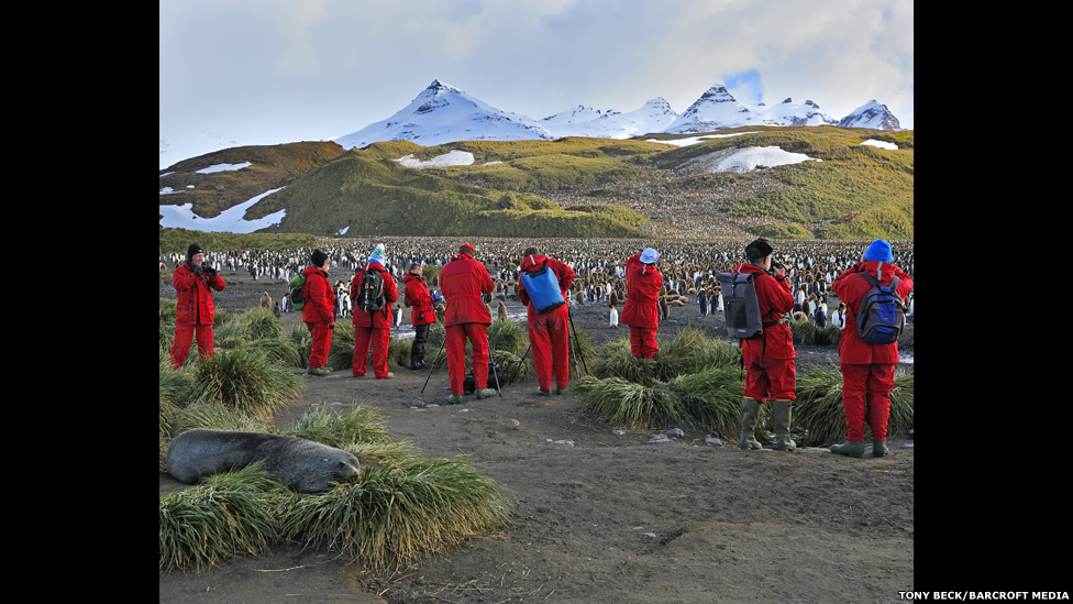 130122122741_bm_penguins_03.jpg