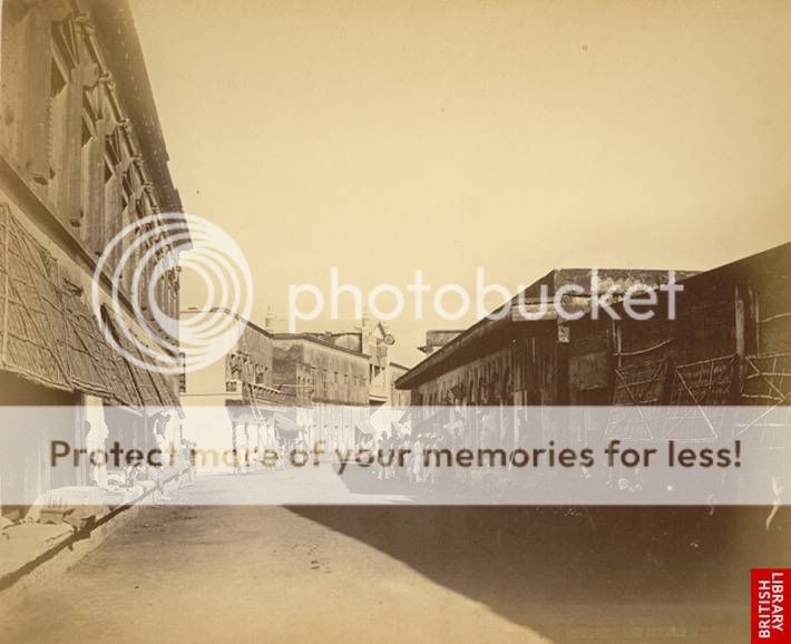 Picture.jpg