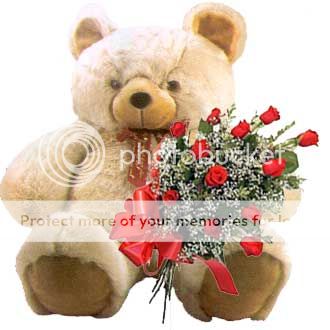 teddy-12roses.jpg