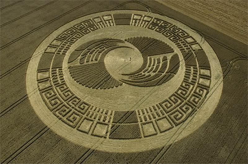 cropcircle9.jpg