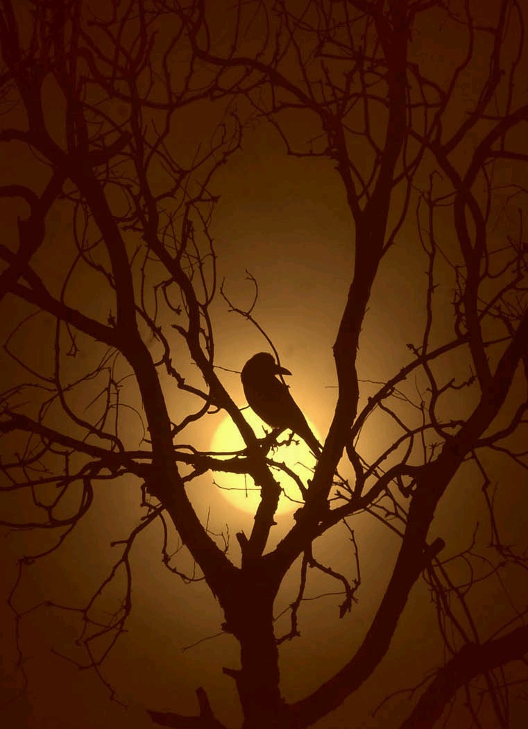 sunset-in-pakistan.jpg