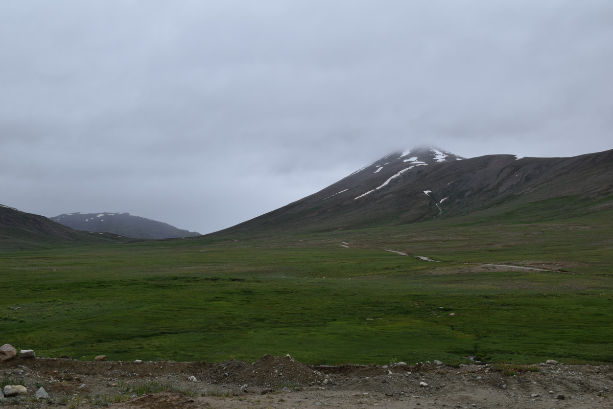 DSC-0610.jpg