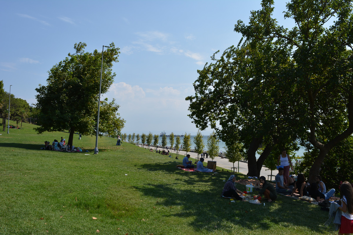 DSC-5744.jpg