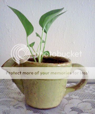 IMG051_zpsa7258b89.jpg