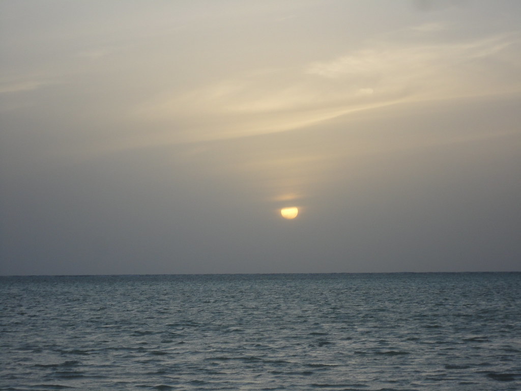 8578567297_2b6ab3716f_b.jpg